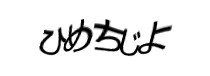 Authentication image