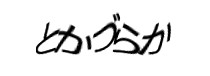 Authentication image